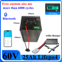 100Ah 60V 60Ah 80Ah 30Ah 60V 40Ah 150Ah 120Ah lifepo4 Lithium battery with Bluetooth APP BMS for Scooter boat