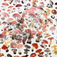 50pcs Vintage Mushroom Transparent PET Stickers Decals For Phone Laptop Scrapbook Suitcase Guitar DIY Cartoon Aesthetic Stickers