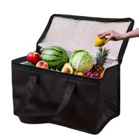 Portable Insulated Cooler Bag Aluminum Foil Foldable Tote Keeps Food & Drinks Cold For Camping Picnic Beach Travel Outdoor
