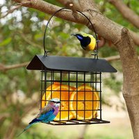 Mental Cage Bird Feeder Outside Suet Feeder Reusable Squirrel Proof Feeding Station For Wild Hummingbirds Woodpeckers All Breeds
