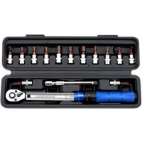 AliExpress NONE OFFBONDAGE Bike Torque Wrench Set 15Pcs 1/4