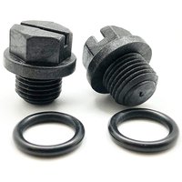 2pcs Pool Pump Pipe Plug With Gasket For SPX1700FG Pool Pump Pipe Plug With Gasket Swimming Pool Accessories
