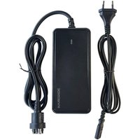 HANERIDE 42V 2A Ebike Charger for 36V Bosch Active/Performance Line E-Bike battery