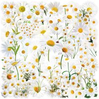 50Pcs Cute Transparent Daisy Graffiti Stickers Creative DIY Decorative Guitar Notebook Phone Case Waterproof PET Floral