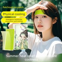 Huoxiang Cooling Gel Patches for Military Training Outdoor Heatstroke Prevention Student Summer Refreshment Essential