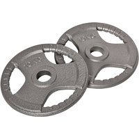 PINGGO Set of 2 Cast Iron Weight Plates for 2"/5cm Hole Dumbbell Handle Bar, Barbell Weight 2 x 10kg