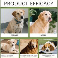 Dog Taurine Powder For Heart Health Supplement Gentle Formulas For Sensitive Stomachs. Caring Pet Parent