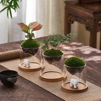 Creative Mountain Shaped Moss Glass Bottle Vase Hydroponic Fleshy Micro Landscape Terrarium Bonsai Home Decor
