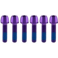 AliExpress NONE Titanium-plated Bicycle Handlebar Screws M6 17MM Bike Handle in Bolts Stem Riser Stainless Steel Bicycle Disc Brake Caliper Bolt