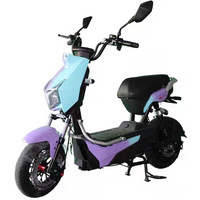 1000W Electric City Bike Pedal Assist European Warehouse China's Best Electric Moped Scooter