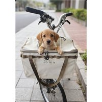 AliExpress NONE Bike Front Bag for Brompton 21L Large Capacity Cycling Vegetables Bag Multifunctional Pet Bag Bicycle Portable Shoulder Bag