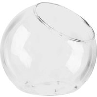Glass Plant Terrarium Glass Round Terrarium Fish Bowl Plant Flowerpot Vase Air Plant Container Glass Home Decoration Display