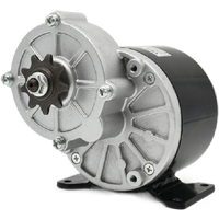 250W 350W 12V 24V 36V DC brush motor 410 sprocket electric tricycle electric bicycle motor MY1016Z2 MY1016Z3