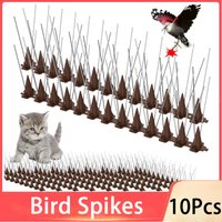 10 Stück Edelstahl Vogel Spikes Tauben Repeller Katzen dauerhafte Abschreckung Anti für Zaun Kit Dach Vögel Eichhörnchen Schädlings bekämpfung