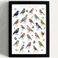 British Garden Birds Educational Wall Art Print Black Framed, Bird Species Identification Chart Nature Learning Poster for Kids