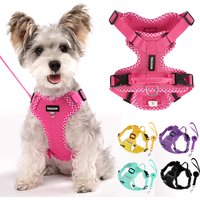 Ultra Light Soft Dog Harness and Leash Set - Breathable Skin-Friendly Mesh Vest with Fully Adjustable Straps for all breeds