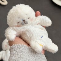Cute Seal Plush Toy, Soothing Bean Bag Toy Is A Great Holiday Gift For Couples And Friends, Stuffed Animal Toy