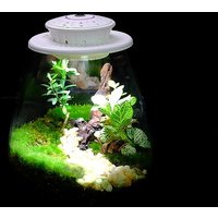 UFO Full Spectrum LED Grow Light for Micro Landscape Ecological Bottle Moss Plants Growth Lamp Glass Bottle Plant Light