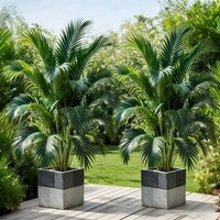 2 Stück, künstliche Areca-Palme mit 18 Blättern, immergrüne tropische Pflanze für Innen- und Außenbereiche, Garten, Pool, Hochzeitsdekoration.