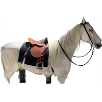 Advanced Horse Riding Machine Simulation Horse Fitness Equipment Realistic Action Entertainment Equipment Made in China