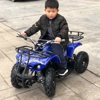 49cc 2-Stroke Kids Mini Quad Bike ATV with Chain Drive Automatic Transmission 2WD Disc Brakes