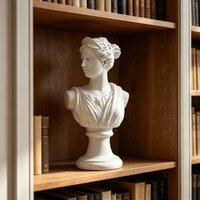 Greek Goddess Bust,White Resin Sculpture,Elegant Home Decor,Modern Desk Bookshelf Ornament,Classical Art Decor