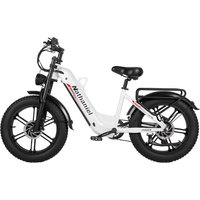 AliExpress Nathaniel Dual Drive Integrated Wheel E-Bike 2000W 20x4.0 Tire 48V20AH for Urban Commuting & Off-Road Snow/Sand