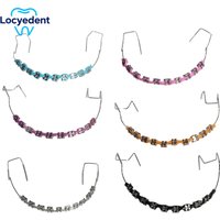 Dental Colorful Fake Braces Student Practice Tool Dentistry With Metal Wires Bracket Orthodontic Ligature Ties Grillz Teeth