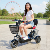 500W*2 Dual Motor Mini Adult Electric Tricycle Single/Double Seat Lightweight Electric Scooter With 3 Wheels Woman