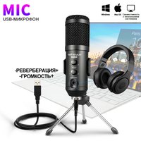 USB Microphone,with Volume and Echo Control,Computer Condenser Gaming Mic for PC/Laptop,for Singing,Podcast,Studio Recording