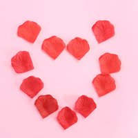 70G Artificial Rose Petals Wine Red Realistic Fake Rose Petals for Wedding Decoration Table Centerpiece Valentine's Day