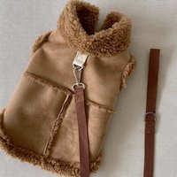 Pet Winter Clothing Teddy Bichon Solid Color Clothes Pomeranian Open Button Shirt Small and Medium Dogs Tractable Warm Vests