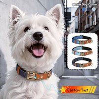 Customizable Denim Pet Collar With Adjustable Quick-Release Engraved Metal Buckle, Suitable For All Puppies And Adult Dogs.