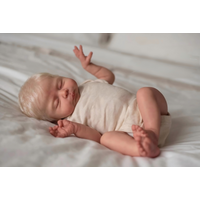 NPK 19inch Christopher Reborn Baby Doll - Realistic 3D Skin Soft Body Hand Painted Touchable Collectible with Multiple Layers Ro