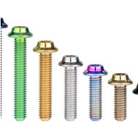AliExpress Wanyifa M3 Titanium Umbrella Head Torx Screw T10 Butterfly Shape with Laser Marking Fastener For Bike Motorcycle Modification