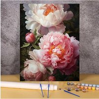 Peony Flower Painting By Numbers Floral Patterns Number Drawing On Canvas Diy Paint Pictures By Numbers Acrylic Art Home Decor
