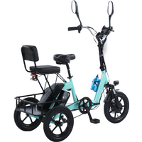 14 Inch 3 Wheeled Electric Tricycle Foldable 48V 350W Electric Bike For Adults 2 Person With Removable Rear Seat Max Speed 20