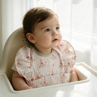 HappyFlute Baby Flying Sleeve Bib - Elastic Cuffs large Pockets Waterproof and Easy to Clean - Cherry Baby