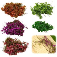 Simulated Micro Landscape Vine Climbing Tiger Leaf Wall Model Cotton Thread Multi Color Roof Green Moss Green Plants