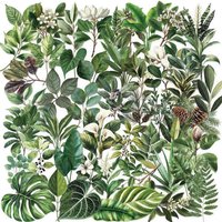 50Pcs Transparent Green Leaf PET Stickers Waterproof Cartoon Plant Decals for Guitar Notebook Journal LanLanStickersWorld Store