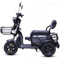 AliExpress Daibot Family 3 Wheeled Electric Tricycle 3 Seater 48V 600W 3 Wheel Electric Bike Tricycle Parent And Child Adult Electric Motorcycle