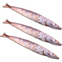 lifelike Sea Animal Fish Pillow Evil Funny Stuffed Saury Plush Baby Toys Cushion Birthday Gifts.