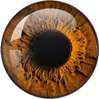 14mm Glass EyeCabochon Round Dome Dragon Eye Dragon Cat Eye Toys DIY Jewelry Accessory MIX Pupil Eye Cameo Gifts To Friend
