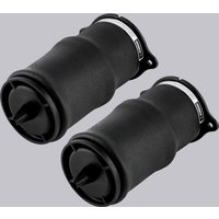 Pair Rear Air Spring Bag Suspension Shock Struts For Mercedes V Class Viano W639 6393280101 6393280201 6393280301