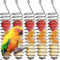 Stainless Steel Parrot Forager Feeder Seed Holder Spiral Design Vegetable Fruit Feeder Food Container Hanging Basket