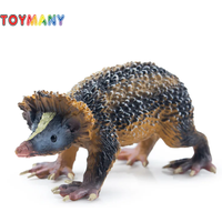 Toymany Simulation Lowland Streaked Tenrec Madagascar Animal Model Toy Mini Figures Dolls Action Figurines Toy Children Gife Cak