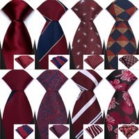 Mens Gift Tie Set Wine Red Checks Plaids Stripes Paisley For Men Wedding Party Fashion Design Quality Necktie Handkerchief Set