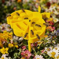 Bee Insect Water Feeder Stand Outdoor Garden Bee Drinking CupButterfly Ladybug BumblebeeTransparent Dual EntranceWater Dispenser