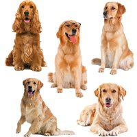 T399# Golden Retriever Pet Dog Wall Sticker Kids Room Background Home Decoration Mural Living Room Funny Decal