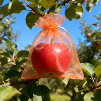 Pack of 100 orange organza mesh bags to protect fruit from damage; also suitable for holding candy and other items